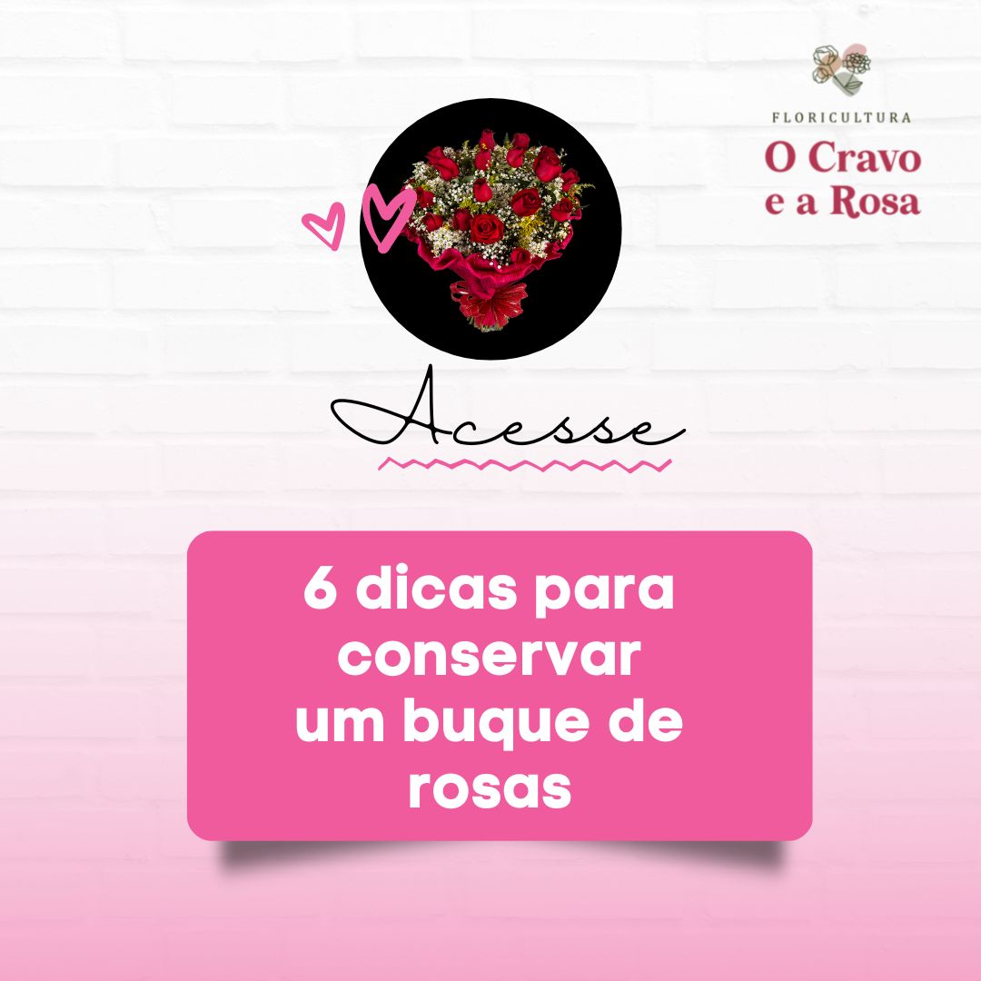 6 dicas para conservar um buque de rosas
