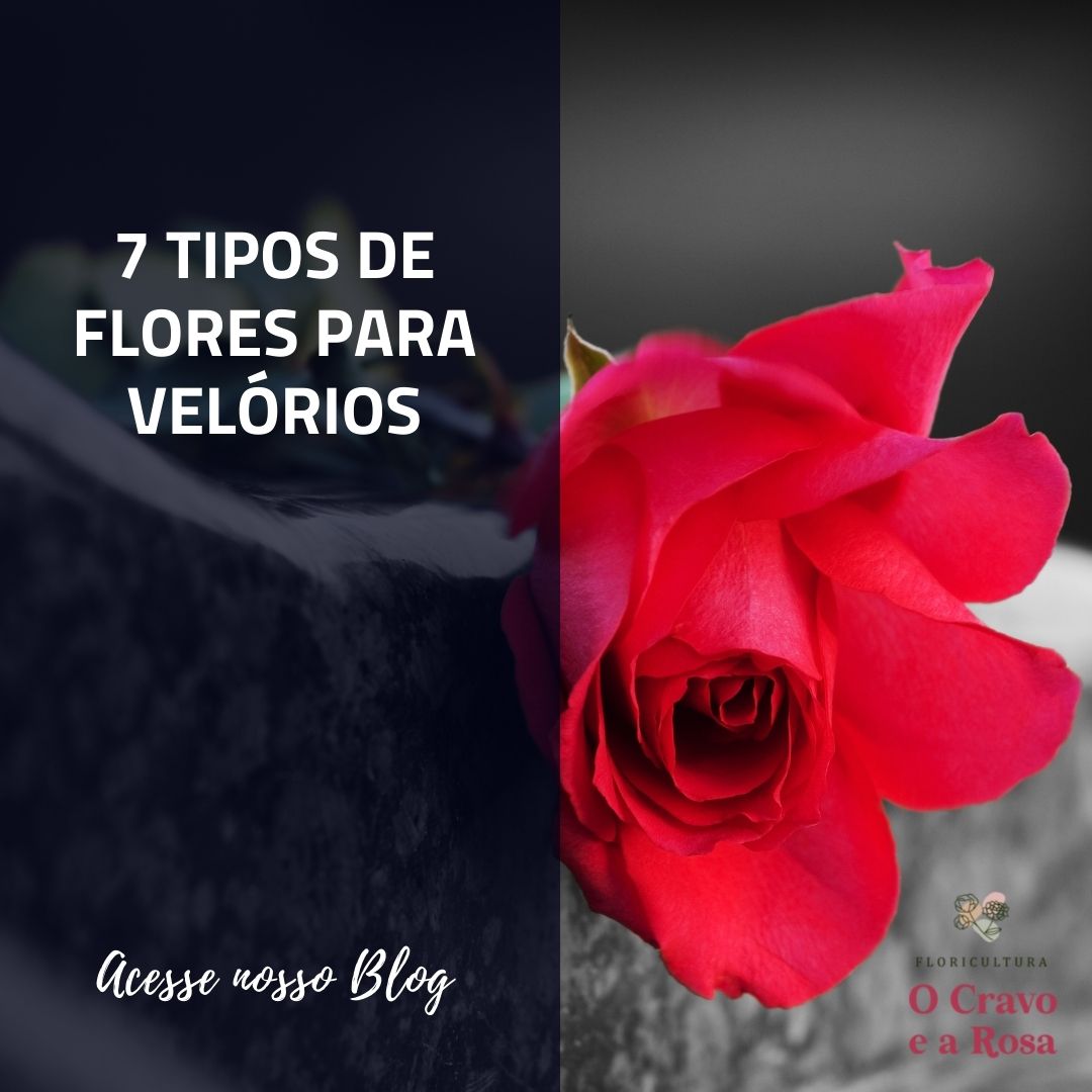 7 tipos de flores para velórios